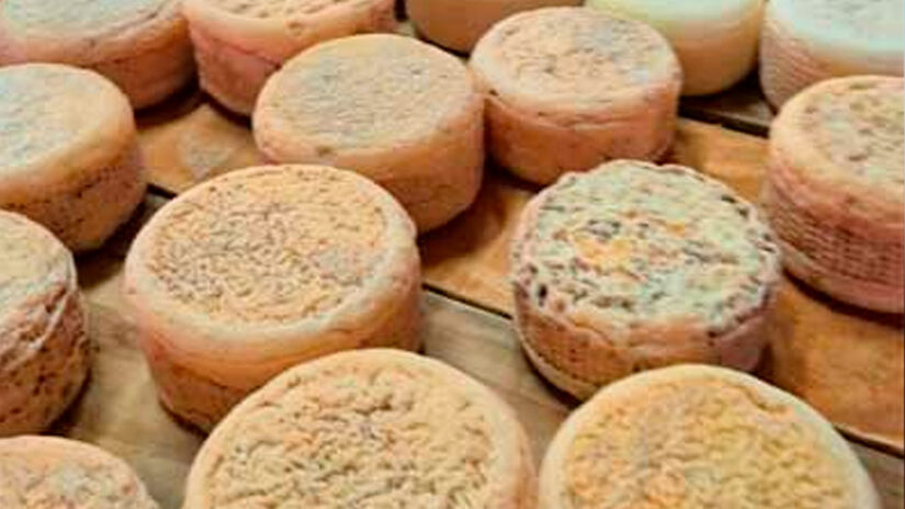 Divulgação/@cabanhacampestre53/