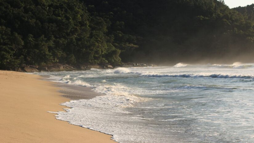 Quando o mar se faz espelho e as palmeiras dançam: bem-vindo ao litoral norte de São Paulo / Pixabay