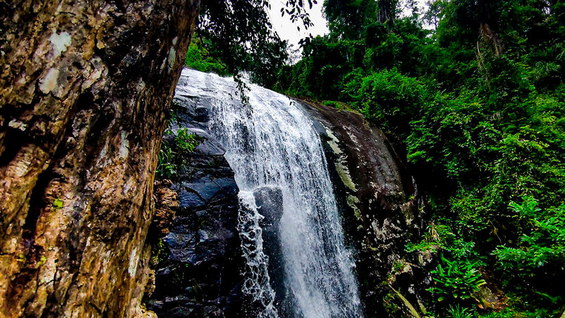 Divulgação/Prefeitura de Ilhabela