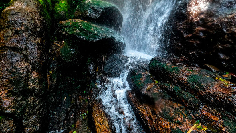 Divulgação/Prefeitura de Ilhabela