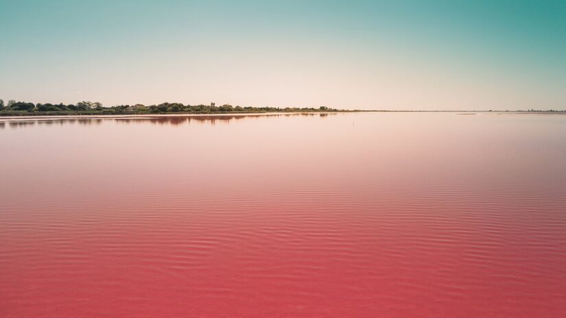 Cianobactérias em floração deixam trechos do mar com coloração vermelha e surpreendem banhistas / Freepik