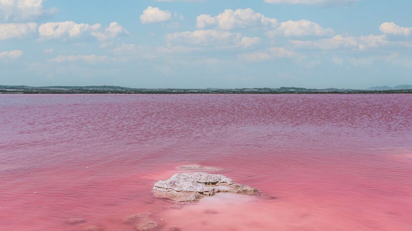 Crescimento acelerado de micro-organismos altera a cor da água e preocupa especialistas / Freepik