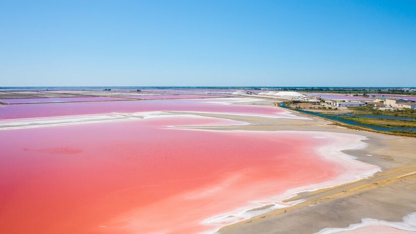 Fenômeno de "águas vermelhas" é causado pela alta concentração de cianobactérias / Freepik
