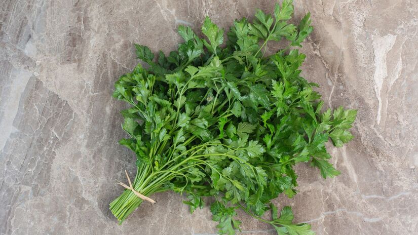 Em seguida, adiciona-se uma porção da salsinha picada, mais uma camada de sal, e assim sucessivamente até preencher o recipiente