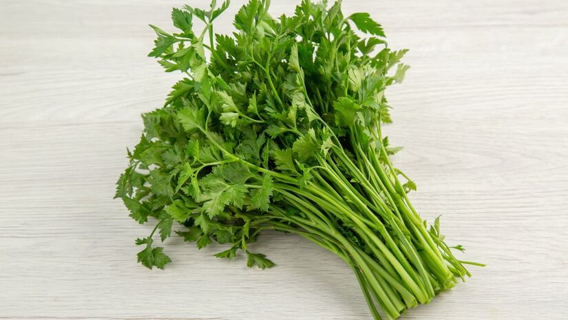 O sal faz o trabalho pesado: impede naturalmente a proliferação de bactérias e fungos enquanto preserva a estrutura da planta