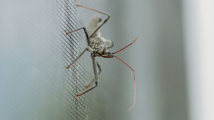 Diferente dos modelos antigos, a nova tela abre e fecha lateralmente como um acordeão. Isso permite ventilar ou limpar sem precisar desmontar nada/Unsplash