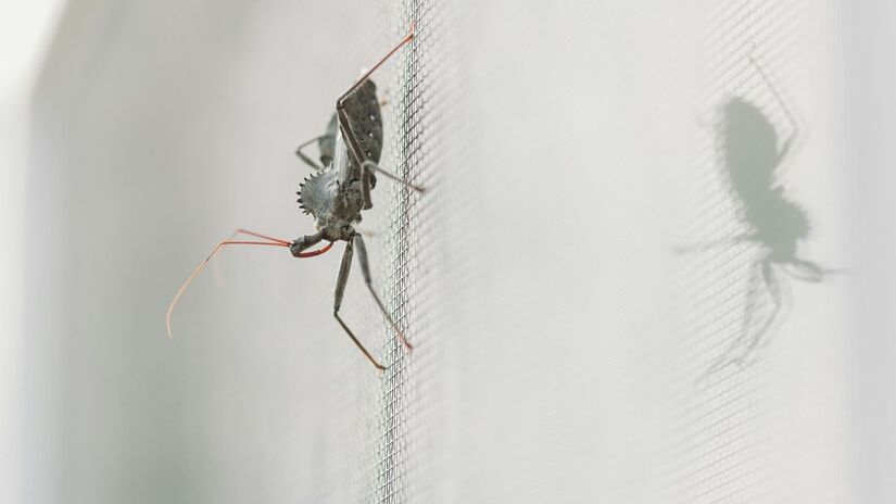 A instalação é simples e não exige obras invasivas, facilitando a inclusão do sistema em qualquer reforma/Unsplash