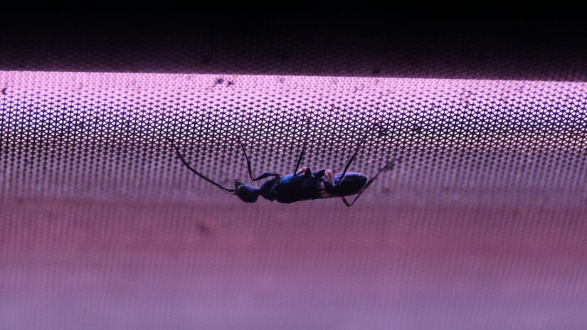 O sistema permite o livre fluxo de ar, garantindo ventilação natural sem aquela sensação de estar trancado/Unsplash