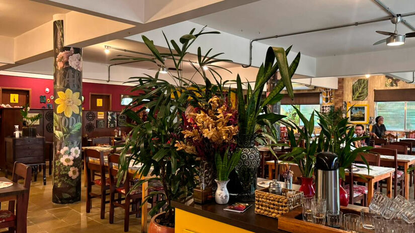 Isabella Fernandes/DL