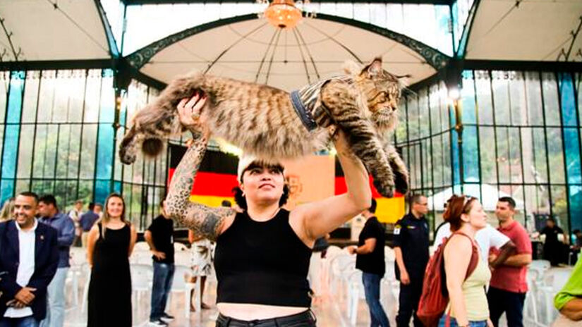 Reprodução/Instagram