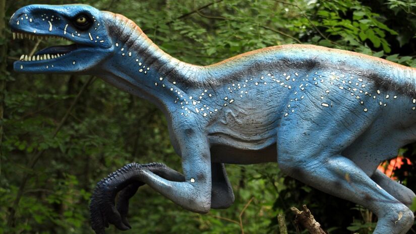 A extinção em massa que marcou o fim dos dinossauros transformou os ecossistemas e abriu espaço para novas formas de vida / Pixabay