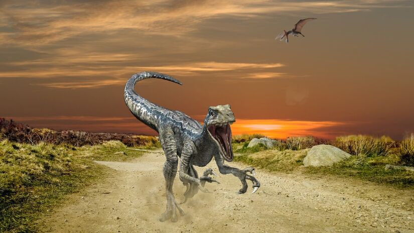 Pesquisas indicam que dinossauros variavam imensamente em tamanho, alimentação e hábitos sociais / Pixabay