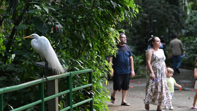 Divulgação/Henrique Teixeira