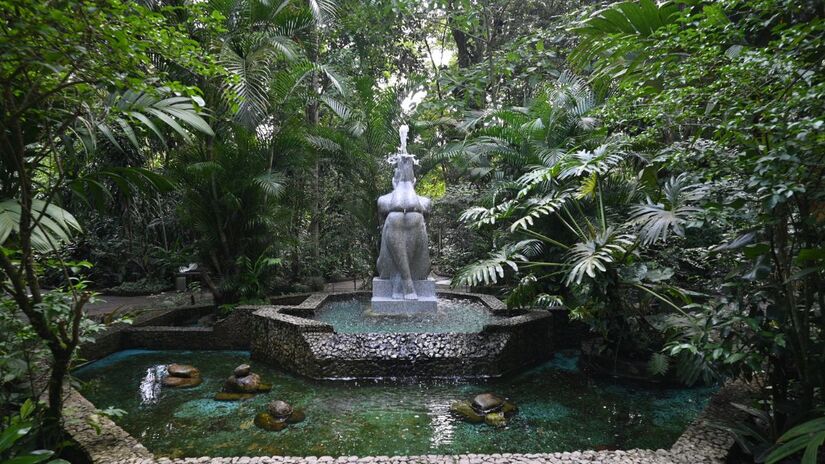 Divulgação/Henrique Teixeira