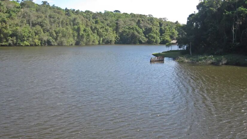 A área, localizada entre Cotia e Ibiúna, é a 37ª unidade de conservação do estado e fundamental para a biodiversidade paulista/Divulgação