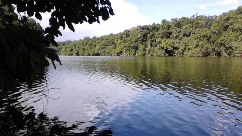 O novo parque abriga 198 espécies de aves (sendo 13 ameaçadas de extinção) e é lar de uma das maiores riquezas de aranhas orbitelas conhecidas na Mata Atlântica/Divulgação