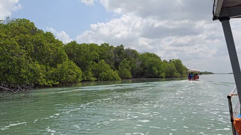 Passeio de Barco pelo Manguezal: as gamboas de Galinhos formam canais entre os mangues e abrigam garças, caranguejos e ostras  um dos passeios mais autênticos do destino/ Reprodução Youtube/Por onde andei, com Fernanda Götz