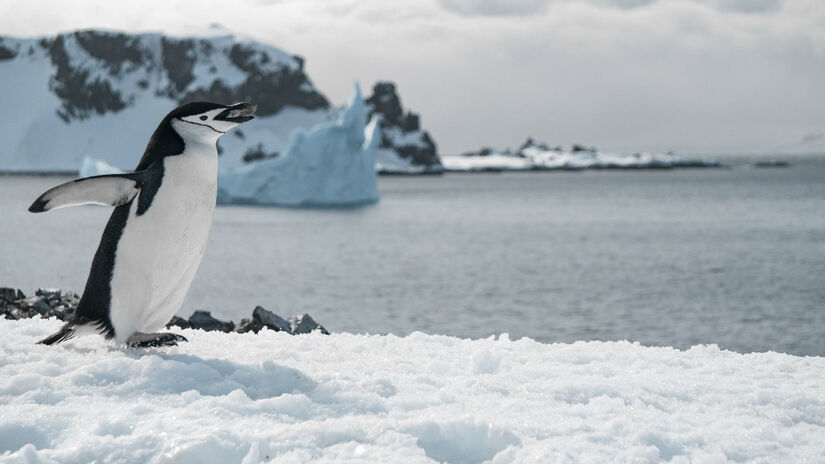 Entender o que há sob o continente é fundamental para prever como o aumento da temperatura global / Freepik/wirestock