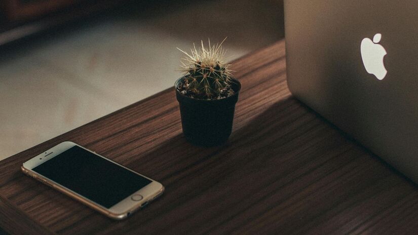 Essa luz é seu alarme de privacidade. Se ela surgir de repente, pare e verifique as permissões de acesso de todos os aplicativos rodando em segundo plano. Mantenha o controle do seu ambiente e desative o acesso desnecessário/Pexels