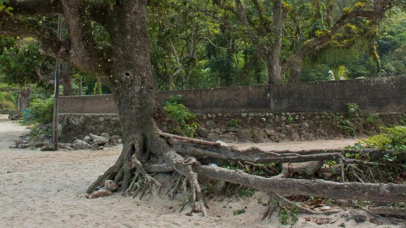 A Praia da Baleia é conhecida por seu ambiente familiar e pela harmonia entre paisagem e tranquilidade / Kell Kell/Panoramio