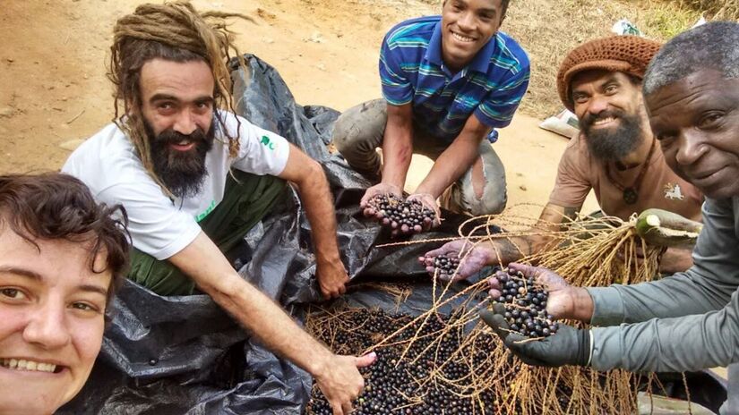 Programa de plantio da palmeira-juçara será apresentado como modelo sustentável na COP30 / Caio Tancredi/Leitor DL