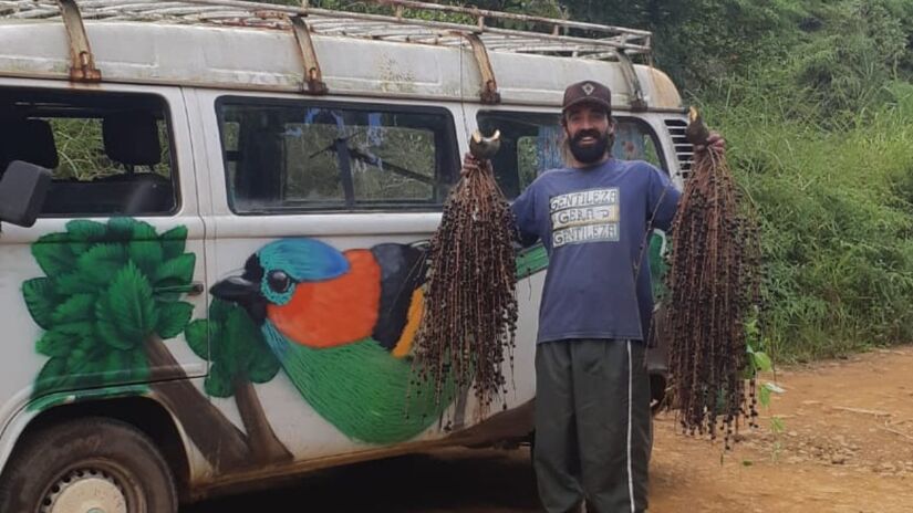 Iniciativa no litoral sul de SP mostra que conservação da Mata Atlântica pode gerar renda local / Caio Tancredi/Leitor DL