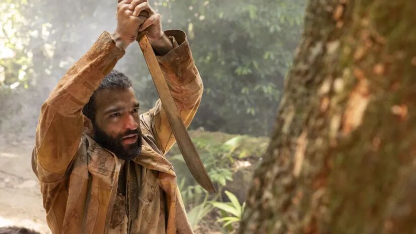 O jequitibá é tratado quase como personagem, já que influencia decisões, destinos e momentos-chave/Reprodução/Globo