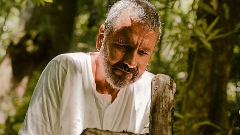 O jequitibá simboliza raízes profundas, tanto da família quanto da cultura rural retratada na obra/Reprodução/Globo