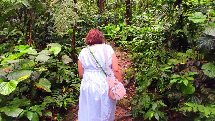 Reprodução/Templo Luz de Oxaguian