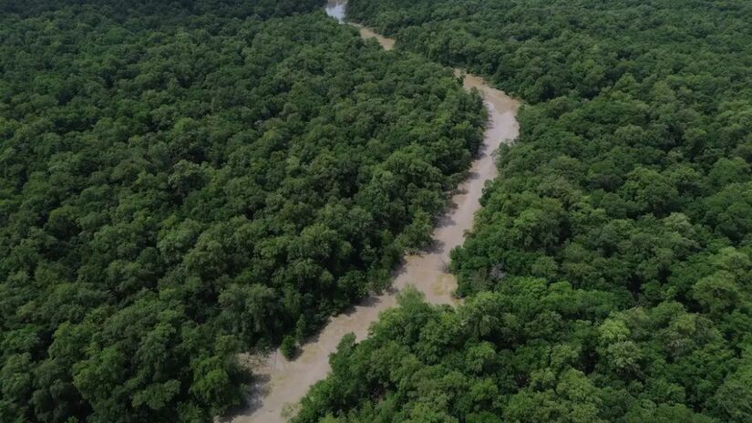 O IBGE lançou o panorama da Amazônia Legal, destacando as 378 Terras Indígenas como áreas-chave/Fernando Frazão/Agência Brasil