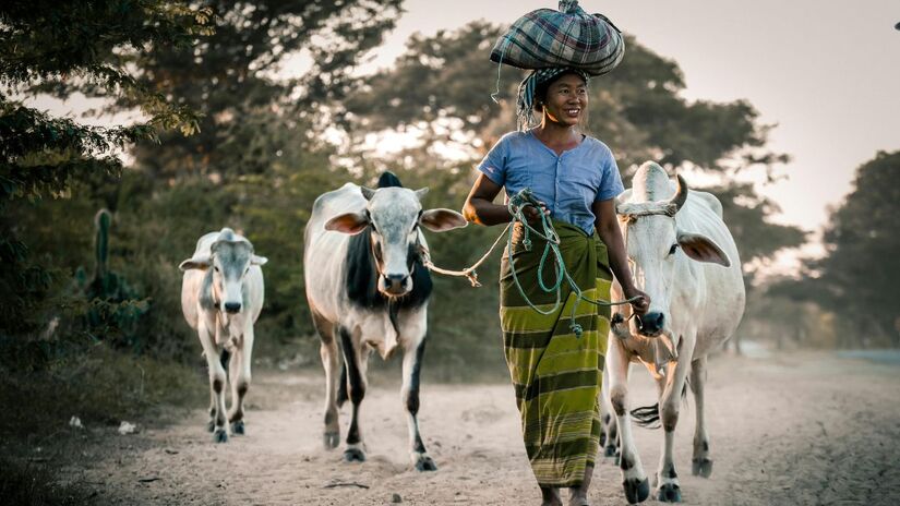 22&ordm;  Myanmar: A trajetória do país é marcada por instabilidade contínua. Golpes militares, conflitos internos e a pobreza estrutural moldam o seu cotidiano. Desde 1996, sanções internacionais aprofundam o isolamento da nação e dificultam ainda mais seu desenvolvimento econômico e social/ Sippakorn Yamkasikorn/Pexels