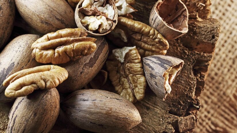 Fonte poderosa de antioxidantes, as nozes auxiliam no combate ao envelhecimento celular / Pixabay