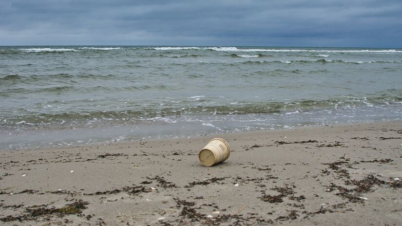 Microplásticos já foram encontrados em peixes, sal e até na água potável consumida diariamente / Pixabay