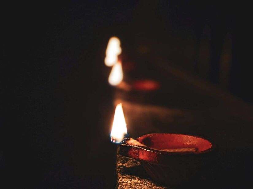 Animal aguenta o calor extremo - Pexels