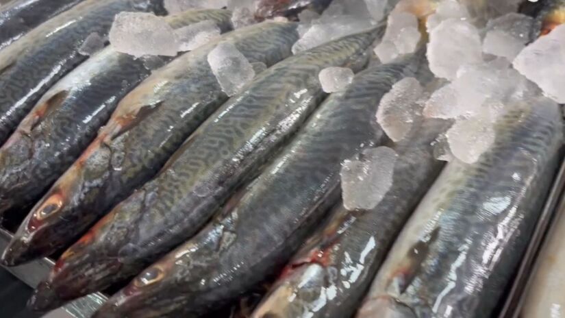 A cada 100 gramas consumidas, há cerca de 20 a 22 gramas de proteína, com todos os aminoácidos essenciais para o organismo (CEAGESP/YouTube/Reprodução)