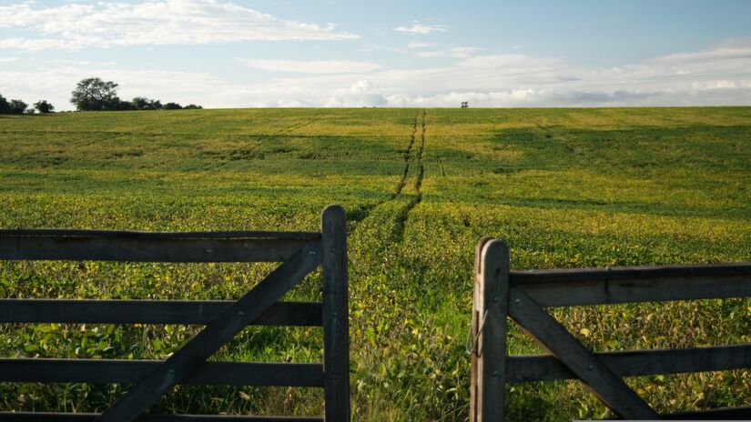 Espírito gaúcho: a tradição do homem do campo ainda é muito forte e respeitada / Pixabay