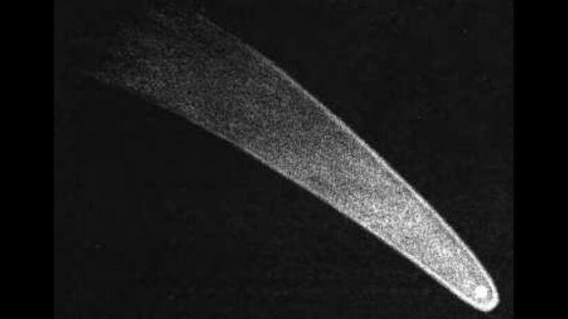 O Grande Cometa de 1811 foi visível por meses e coincidiu com eventos globais dramáticos / Wikimedia Commons