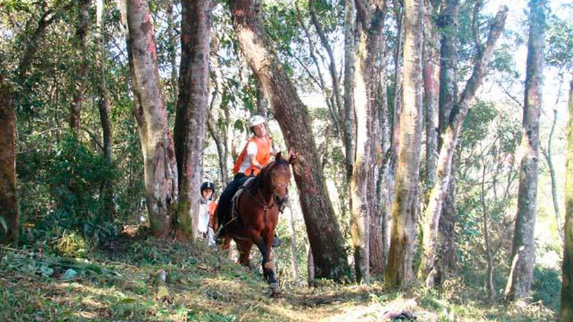 Reprodu&ccedil;&atilde;o/Prefeitura Santo Ant&ocirc;nio do Pinhal