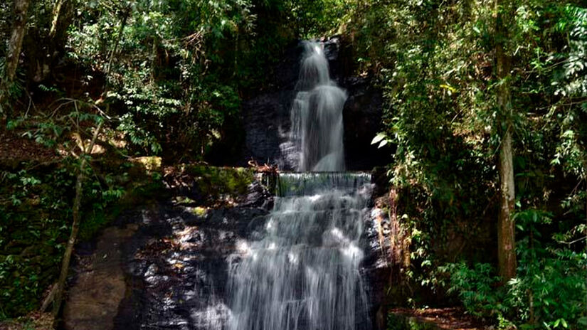 Reprodu&ccedil;&atilde;o/Prefeitura Santo Ant&ocirc;nio do Pinhal