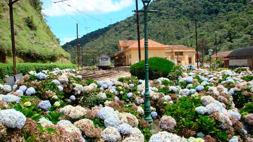 Reprodu&ccedil;&atilde;o/Prefeitura Santo Ant&ocirc;nio do Pinhal