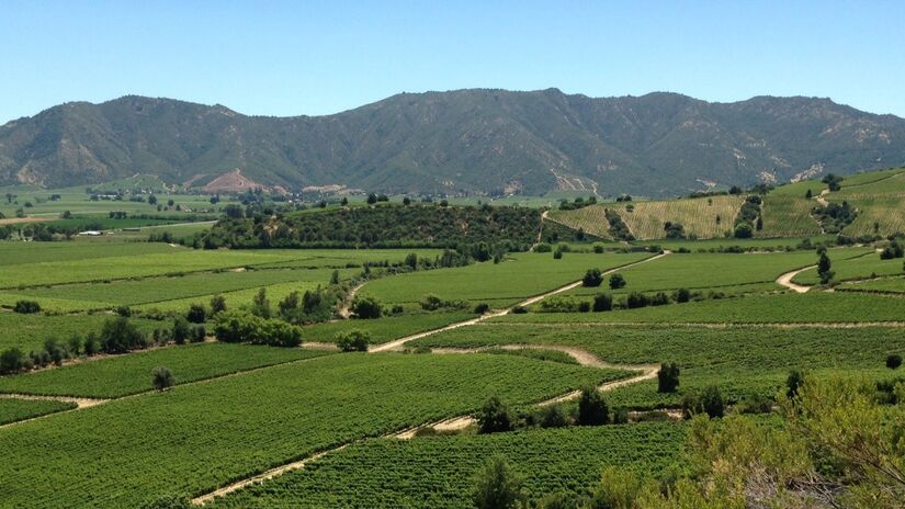 Região de O'Higgins, Chile / Tjeerd Wiersma/Wikimedia Commons