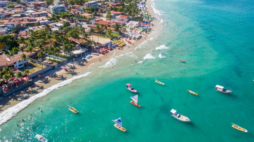 Manter-se tranquilo, sem gestos ou ruídos repentinos, e conservar uma distância segura que não incomode os animais/Divulgação CVC
