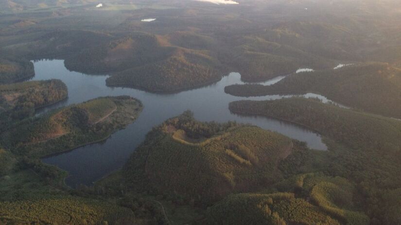 Vista aérea do Parque Estadual do Rio Doce, em Minas Gerais, a maior área contínua de Mata Atlântica no estado e onde o sauá albino foi registrado/ Oswalney/Wikimedia Commons