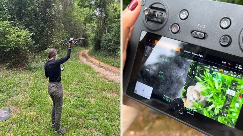 Pesquisadores do projeto Primatas Perdidos utilizam drones equipados com câmeras termais e coloridas para monitorar a fauna do parque/ Acervo Primatas PERDidos