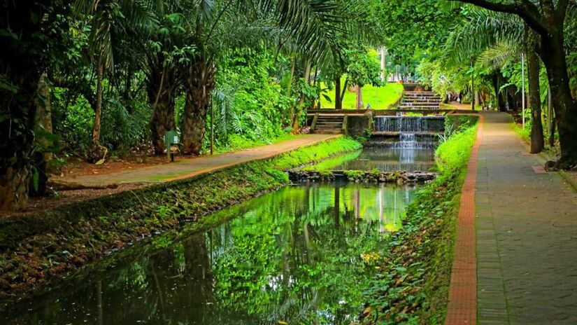 O modelo de sucesso de Goiânia inspirou o Plano Nacional de Arborização Urbana lançado durante a COP30 em 2025 / Jackson Rodrigues  Prefeitura de Goiânia