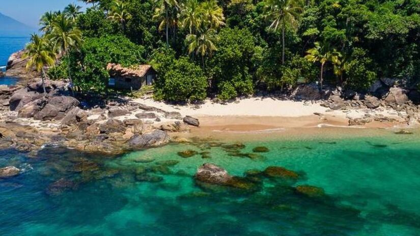 Mais de 800 baleias foram avistadas em 2025, fortalecendo o ecoturismo local/Divulgação