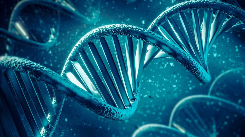 Estudo mostra como mutações no GRIN2A afetam a comunicação entre neurônios e elevam o risco de transtornos mentais/ Freepik