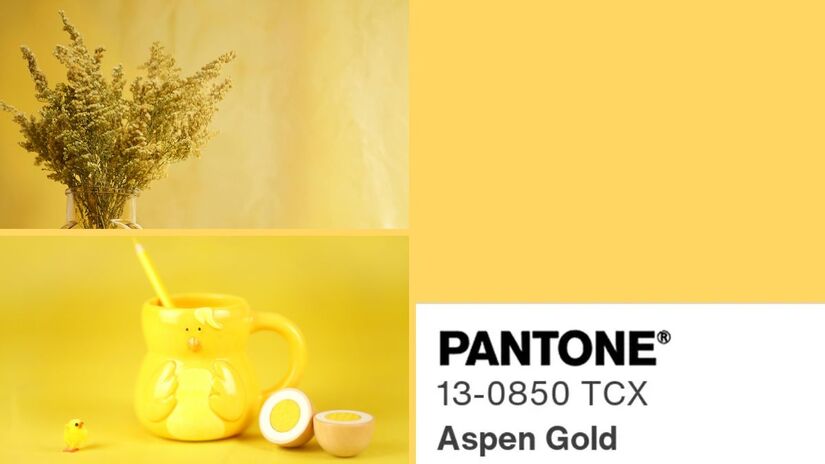 Para quem nasceu nos dias 1, 10, 19 ou 28, a cor associada é o Aspen Gold (Pantone 13-0850). Essas datas estão ligadas à energia do Sol, símbolo de vitalidade, clareza e protagonismo. O tom dourado reflete uma aura luminosa e marcante, traduzindo confiança, ousadia e sofisticação. O Pantone 13-0850 remete a uma presença forte e segura, típica de pessoas com espírito de liderança e personalidade autêntica/ Reprodução Pantone/Natalie Goodwin/Karen Laårk Boshoff/Canva