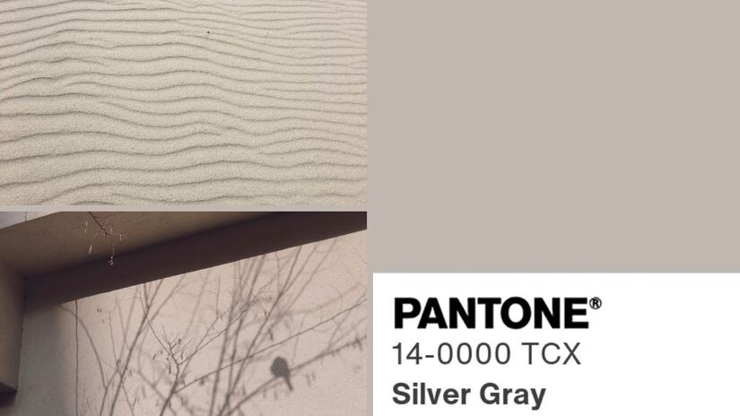 Para quem nasceu nos dias 2, 11, 20 ou 29, a cor associada é o Silver Gray (Pantone 14-0000). Regidas pela Lua, essas datas carregam uma energia sensível, ligada às emoções, à intuição e aos ciclos internos. O tom acinzentado e luminoso remete ao reflexo da lua sobre o mar, simbolizando uma aura serena, acolhedora e com forte capacidade de harmonizar, acalmar e promover equilíbrio emocional/ Reprodução Pantone/Aistė Sveikataitė/Neslihan Yalçın/Canva