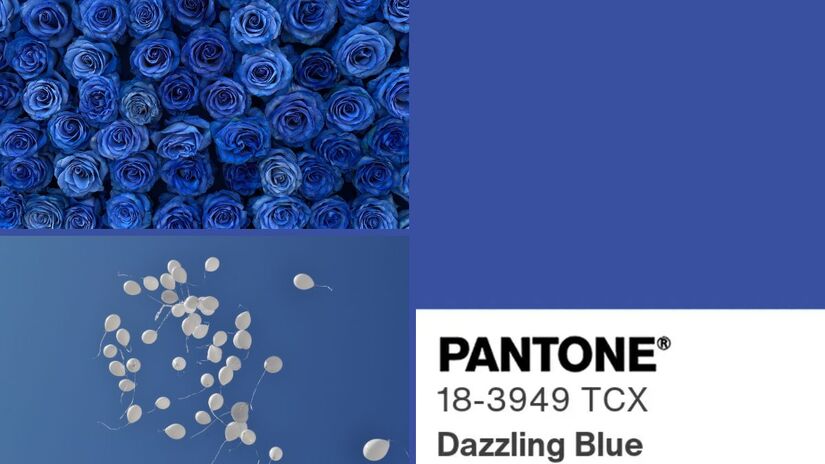 Para quem nasceu nos dias 4, 13, 22 ou 31, a cor associada é o Dazzling Blue (Pantone 18-3949). Essas datas representam o encontro entre disciplina, esforço e constância com o desejo de liberdade e inovação. O tom evidencia um perfil independente e original. Regidas por Urano, planeta das mudanças e da rebeldia, essas pessoas encontram propósito em questionar padrões, romper limites e reinventar o que já existe/ Reprodução Pantone/Kei Scampa/Mykola Volkov/Canva
